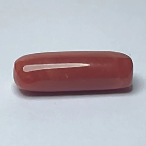 Red Coral | Moonga (Capsule, Flat and Tikoni) (Certified)