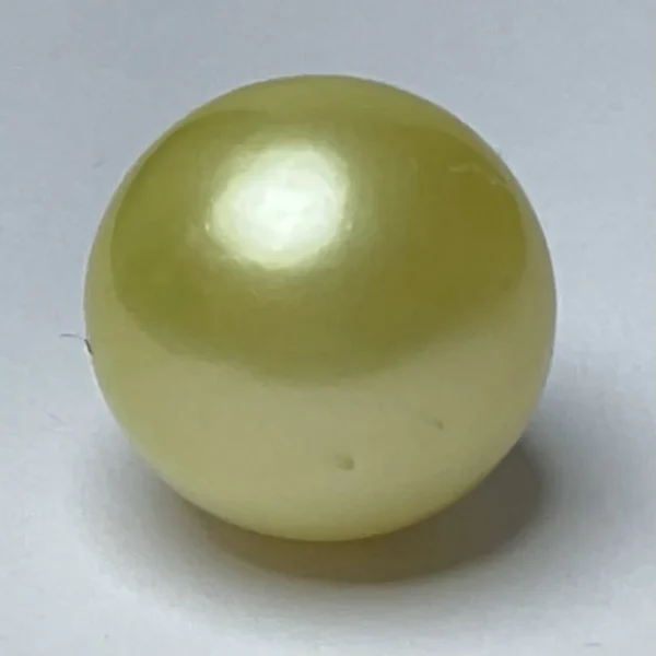 Yellow Pearl