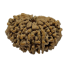 Rudraksh (13 Mukhi) (Certified)