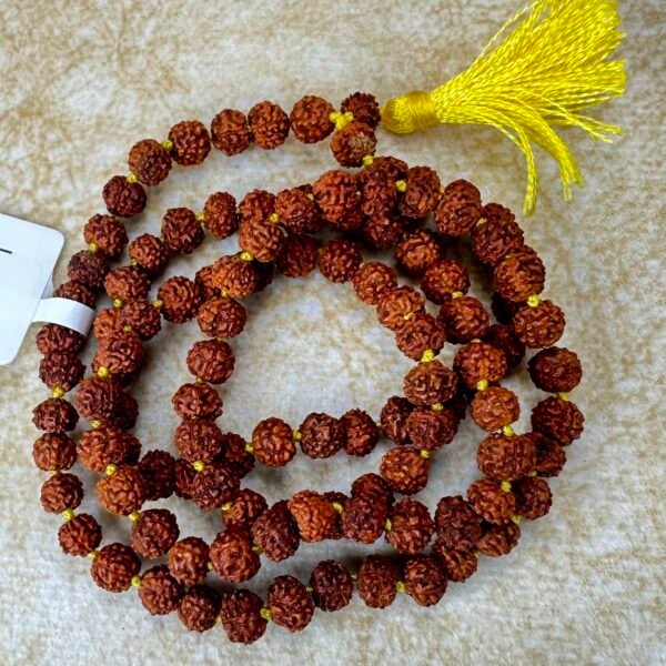 600/5.5 Rudraksh Mala 108+1 Beads 5.5 mm (Laboratory Certified)